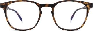 Barner Screen Dalston Tortoise