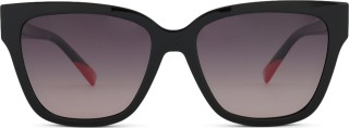 M Missoni MMI 0179/CS 807 15 54 (clip solar) 30434