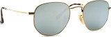 Ray-Ban Hexagonal RB3548N 001/30